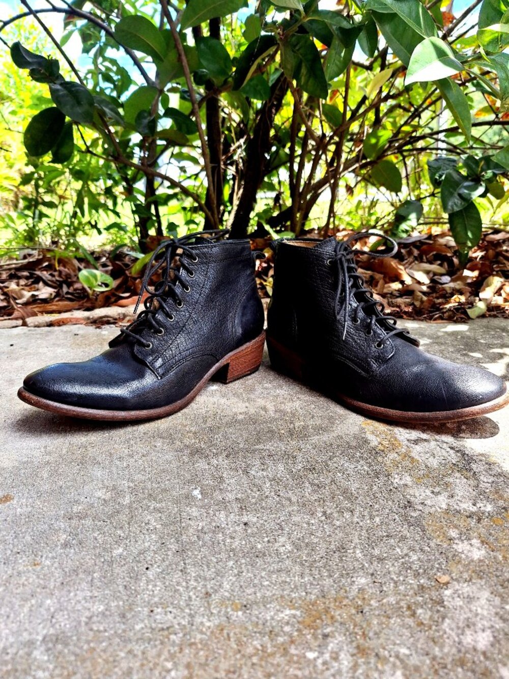 FRYE Carson Booties 8 1/2 B Ankle Boots Lace-Up black textured Leather - Picture 4 of 8